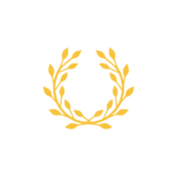 Aggarwal academy
